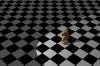 org_chess_horse_00.jpg