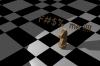 org_chess_horse_01.jpg
